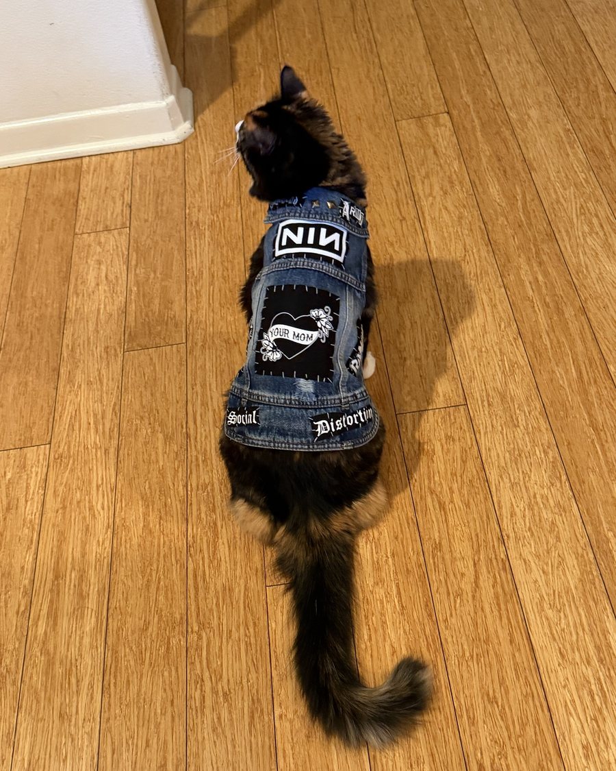 Calico cat seen from behind on a wood floor, wearing the Your Mom vest: plain denim with a Nine Inch Nails patch, a Your Mom heart back patch and Social Distortion strips along the hem
